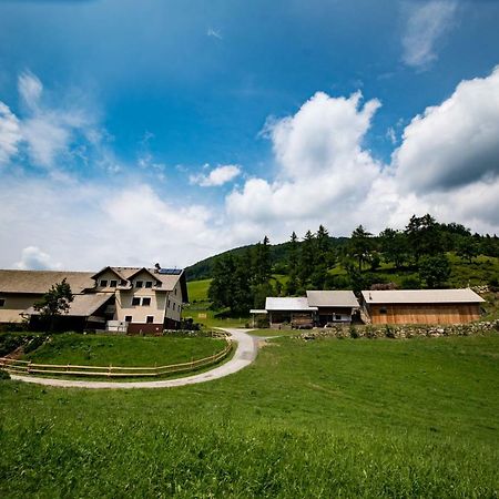 Tourist Farm Pr'Dovar Cerklje na Gorenjskem Exterior foto